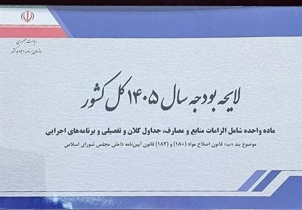 سام‌دلیری، پژوهشگر اتاق ایران: سیاست‌های بودجه‌ای فشار بر صنایع کوچک را افزایش داده است| حمایت ناکافی از صنایع کوچک و متوسط تبعات اجتماعی دارد