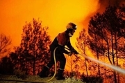  آتش سوزی بزرگ استرالیا از کنترل خارج شد؛اعلام وضعیت اضطراری در پایتخت