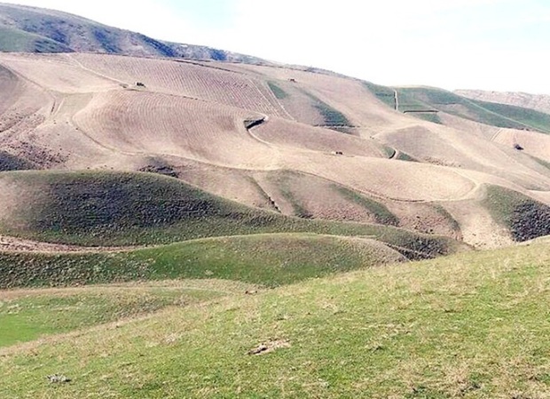 5 هزار هکتار از اراضی ملی شهرستان ری حدنگاری شد