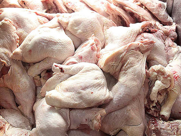 توقیف 2.5 تن گوشت مرغ غیرمجاز در بندرگز