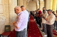 نماز عید قربان در مسجدالاقصی (5)