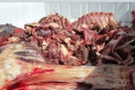 معدوم سازی 28 هزار کیلوگرم گوشت قرمز غیرقابل مصرف در قزوین
