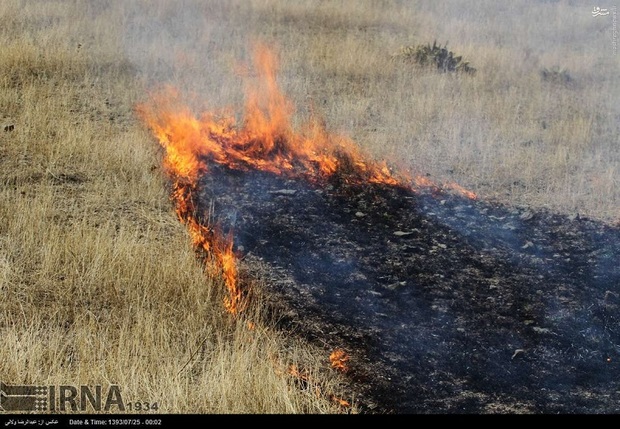 آتش سوزی در مناطق حفاظت شده قزوین کاهش یافته است