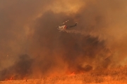 کالیفرنیا همچنان در آتش/ تخریب 2000 ساختمان+ تصاویر