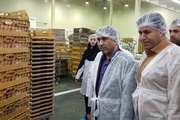 بازدید سرزده استاندار البرز از یک واحد تولید نان صنعتی