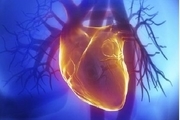 
افزایش ریسک بیماری قلبی با هورمون بالای تیروئید در میانسالی 
