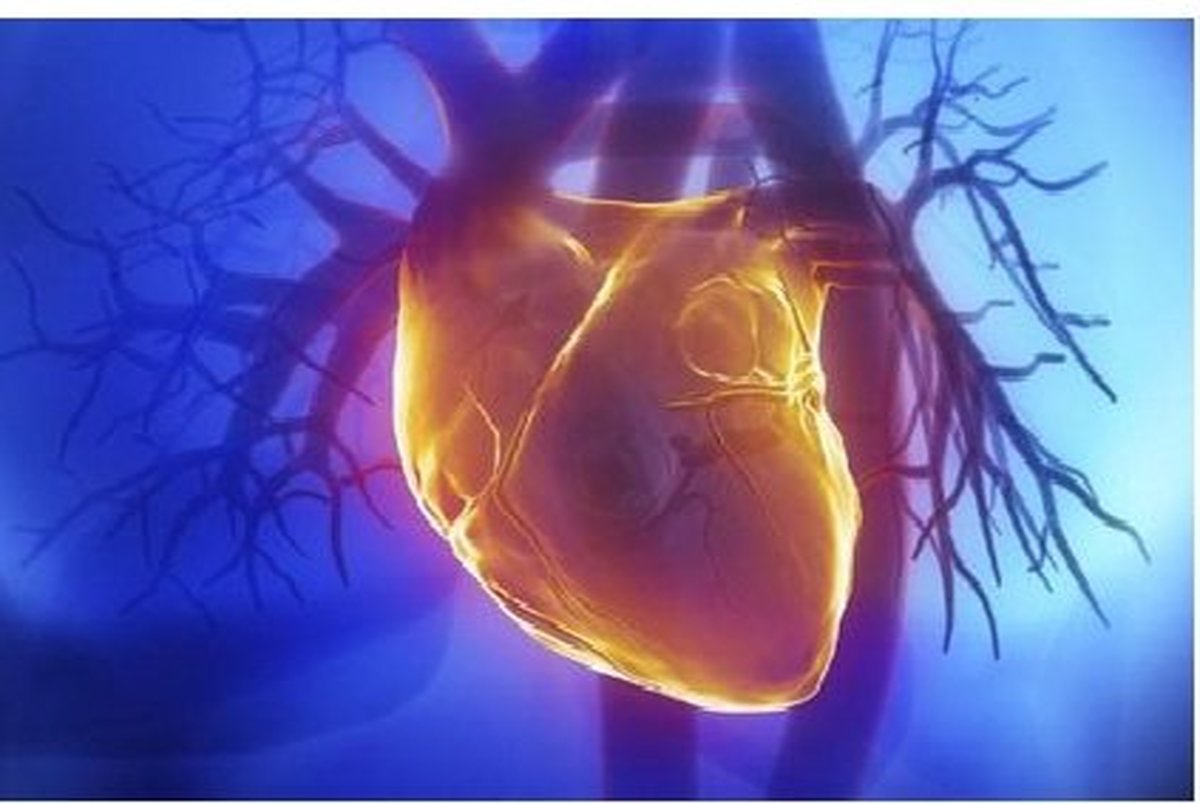 تاثیر ژن مرتبط با بیماری قلبی بر میزان باروری انسان