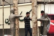 آثار هنری روی درختان خشکیده خیابان ولیعصر 