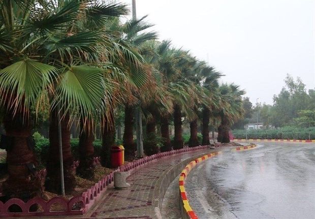 ۴۵ میلی‌متر باران در نیکشهر بارید