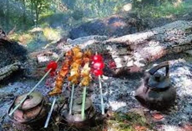 مرثیه ای بر کباب و چای آتشی مردم در عرصه های جنگلی