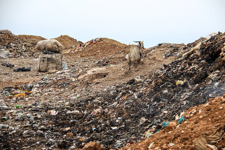 تنها 10 درصد از مراکز دفن زباله شهری استان دارای مجوزهای زیست محیطی است