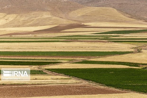 صدور سند برای ۱۱۰ هزار قطعه اراضی کشاورزی در قزوین