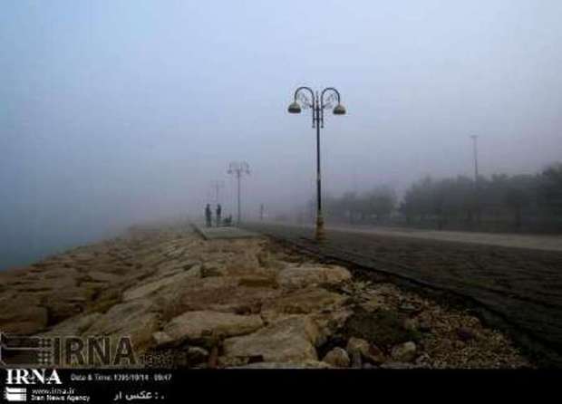 رطوبت بالای هوا در استان بوشهر تداوم می یابد
