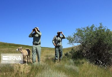 ردپای مدیریت سنتی در قلمرو حیوانات حیات وحش قزوین