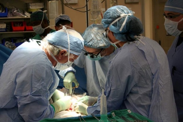 تومور پنج سانتی متری از قلب یک بیمار در فسا خارج شد