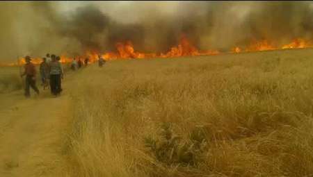 کشاورزان مراقب آتش سوزی در مزارع باشند