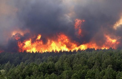 امسال 53 هکتار از جنگل‌ها و مراتع گچساران در آتش سوخت