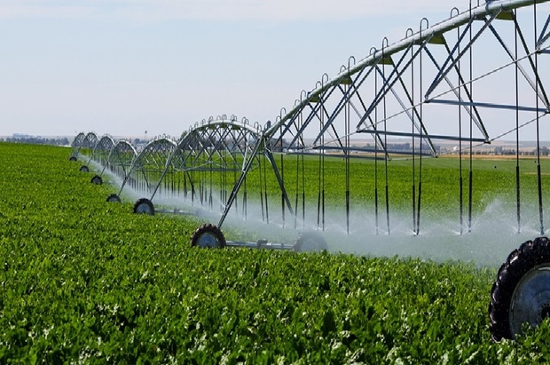 39 میلیون مترمکعب آب در بخش کشاورزی ملایر صرفه جویی شد