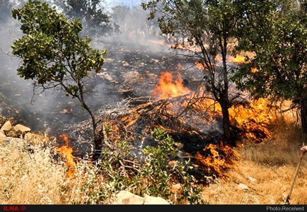 مهار آتش‌ سوزی در منطقه دو شاخ طاقبستان احتمال دخالت عوامل انسانی در ایجاد حریق