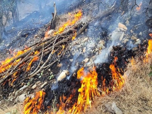 آتش سوزی پارک ملی تندوره عمدی بوده است