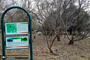باغ گیاه شناسی ملی ایران