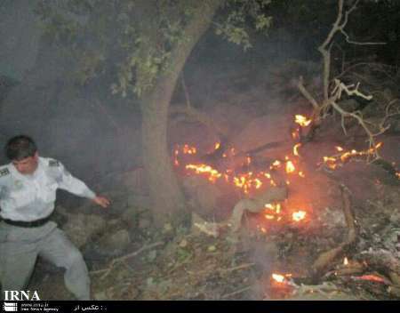 زخم آتش بر جنگل های خوزستان