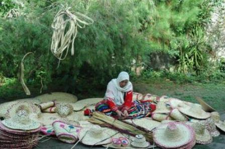 بامبو و حصیر، راهکاری برای اقتصاد سبز در گیلان