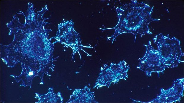 تصویربرداری از سلول‌های سرطانی ریه و استخوان با نانوحامل‌ها