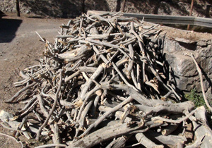 کشف بیش از 7 تن چوب قاچاق در استان تهران