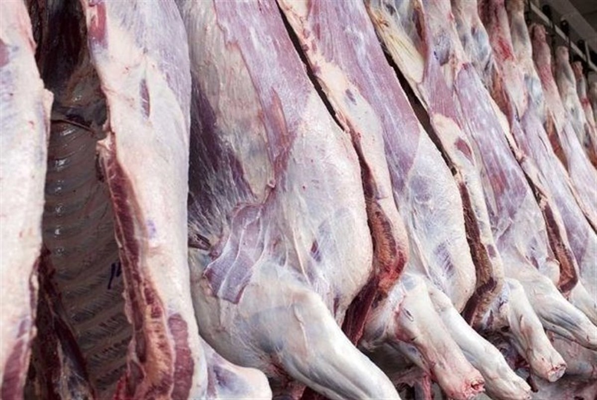 گوشت گوسفند 33 درصد گران شد/ افزایش 50 درصدی قیمت گوشت گاو و گوساله!
