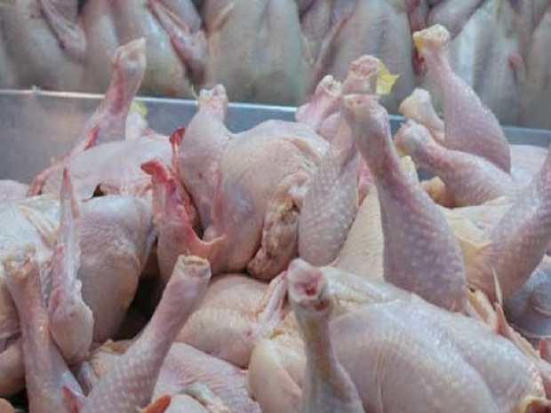 مدیریت توزیع مرغ منجر به کاهش قیمت آن در خراسان رضوی شد