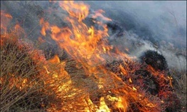 احتمال وقوع آتش‌سوزی در جنگل‌ها و مراتع آذربایجان غربی