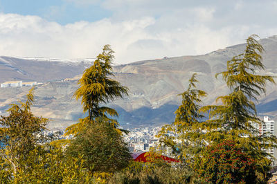 وزش باد نسبتا شدید در تهران
