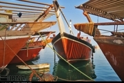 افزایش صید میگو در آبهای بوشهر