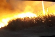 آتش سوزی جنگل‌های مریوان جان ۴ تن را گرفت