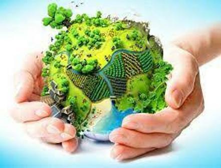 رئیس حفاظت زیست آران و بیدگل: با شعار نه به زباله به داشتن طبیعت زیبا کمک کنیم
