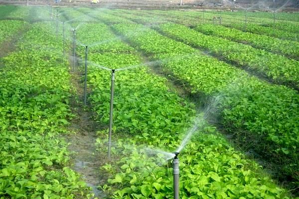 بهره برداری از 9 طرح کشاورزی در همدان