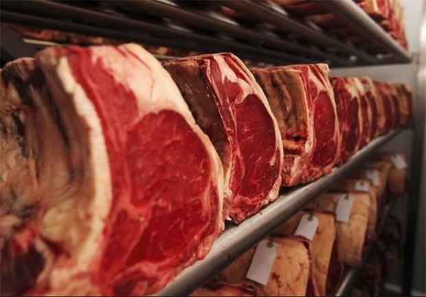 سالانه ۵.۵ هزار تن گوشت قرمز در نهاوند تولید می‌شود