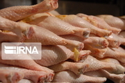 تولید ۱۴ هزار تن گوشت مرغ در اردبیل