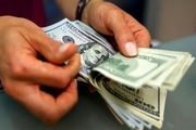 دلایل افزایش قیمت دلار از زبان رییس اسبق کانون صرافان