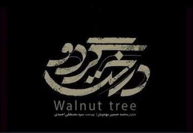 توضیح داروغه زاده درباره داوری بازی پیمان معادی در 