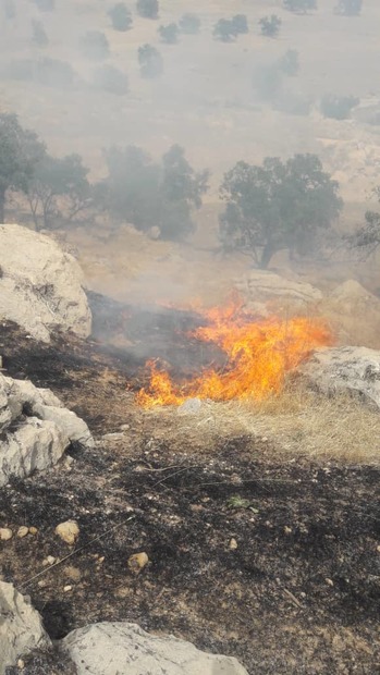 نیاز فوری به بالگرد برای مهار آتش سوزی جنگلهای شادگان و شاه بهرام