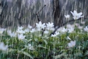 بارندگی های استان همدان ۳۸ درصد افزایش یافته است