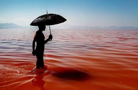 قرمزی دریاچه ارومیه ناشی از رشد جلبک های شورپسند است  مردم نگران نباشند