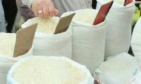 تامین بیش از 900 تن شکر و برنج برای مصرف مردم آذربایجان غربی