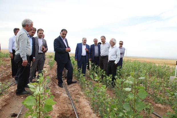 5000 هکتار زمین در آذربایجان غربی به آبیاری نوین مجهز می شود