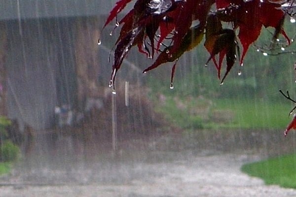 بارش شدید باران و سیلابی شدن برخی از محور‌های گیلان در روز‌های آینده