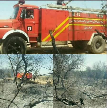 آتش سوزی در مزارع و بیشه زارهای دزفول