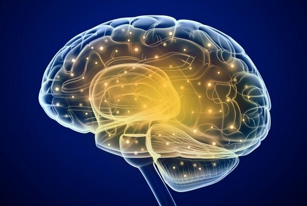 چگونه مغز را به یک جنگجوی هوشمند تبدیل کنیم؟
