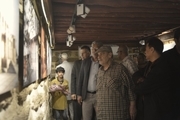 نمایشگاه عکس نوستالژی بندر در بوشهر گشایش یافت